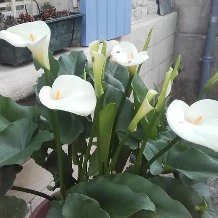 컨트리하우스 De La Laigne