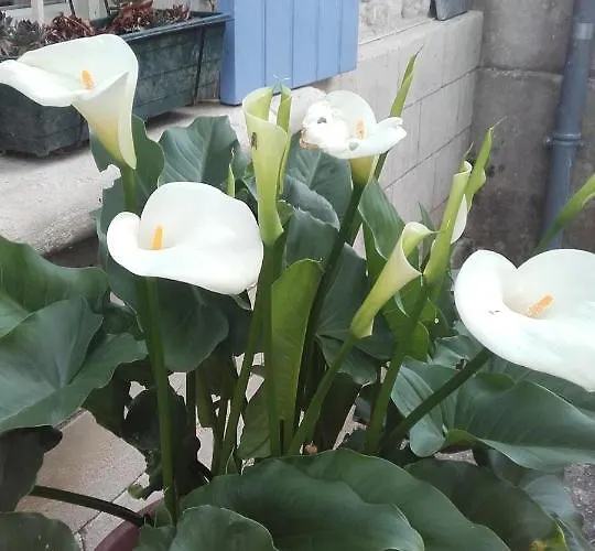 Séjour à la campagne De La Laigne